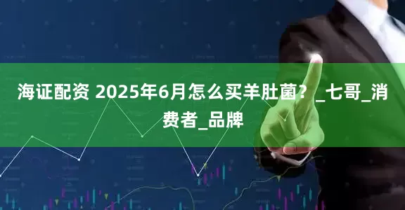 海证配资 2025年6月怎么买羊肚菌？_七哥_消费者_品牌